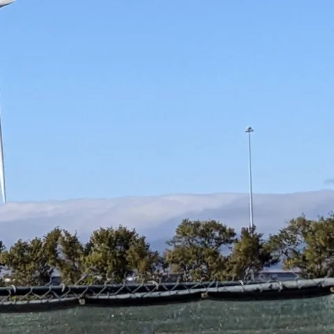 photos by Nanelle Jones-Sullivan