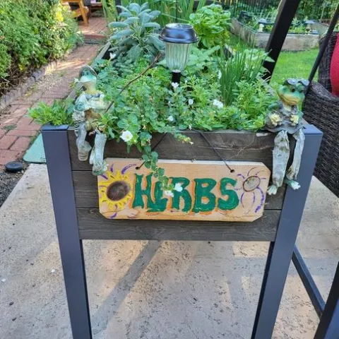 photos by Paula Pashby