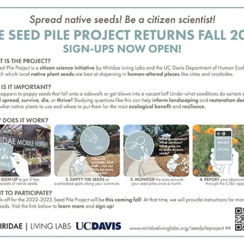 The Seed Pile Project.