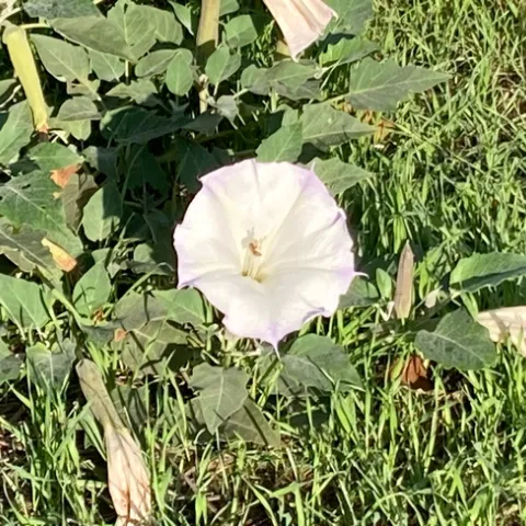 photos by Michelle Davis