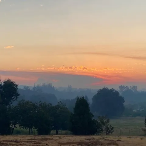 7ADFDED9-0883-4A56-8B3D-ED637D8C599C