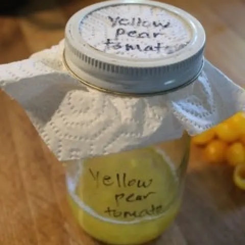 Small mason jar with yellow colored water and a lid.