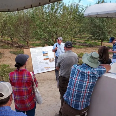 People stand in an almond orchard listening to Brent Holtz, who is holding a mic.