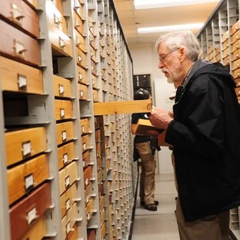 Entomologist and butterfly collector Bill Patterson looks through a drawer during the international Lepidopterists' Society meeting in 2017 at UC Davis. (Photo by Kathy Keatley Garvey)