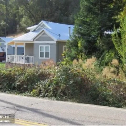 Wild blackberries growing along a roadway and encroaching into the home landscape. [Credit: Scott Oneto]