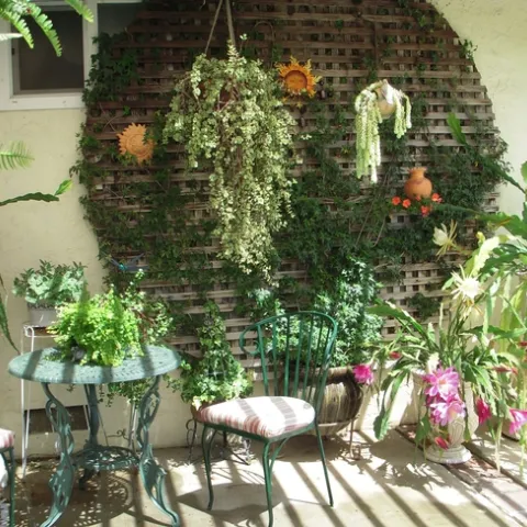 photos by Launa Herrmann