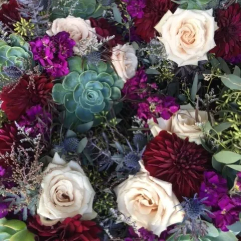 photos by Heather Hamilton