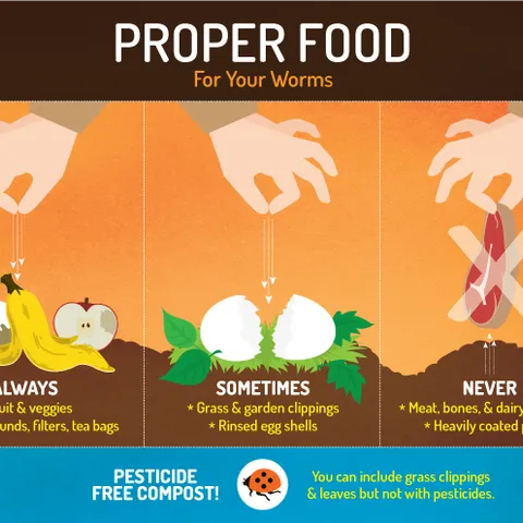 Vermicomposting- How To Worm Your Way Into Composting Heaven (care2.com)