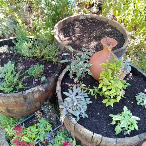 garden containers