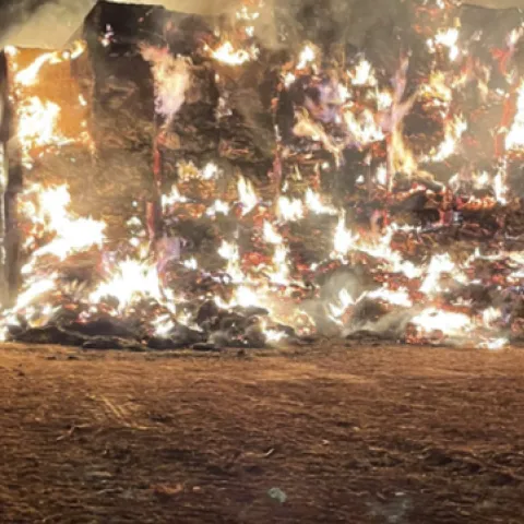 Screen Shot 2022-11-21 at 8.33.36 AM