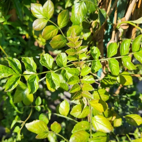 Photo by Polly Nelson