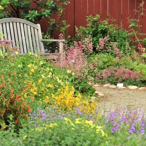 Bench lined with yellow, purple, pink and orange wildflowers.