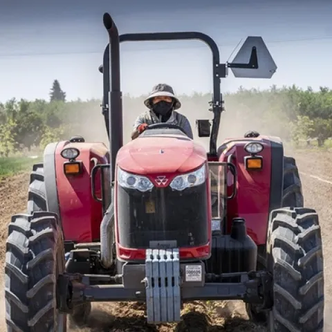 A farmer drives a red tractor toward the camera in the field