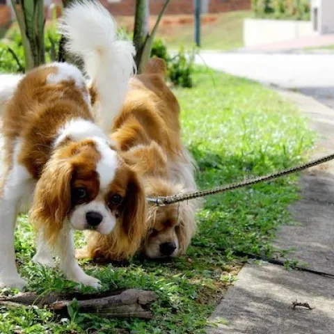 photo by Kathy Craig