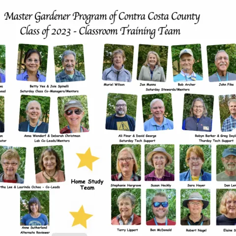 NewClassTrainingTeam