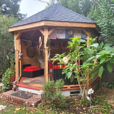 Brugmansia Shrub & Gazebo - photo by Paula Pashby