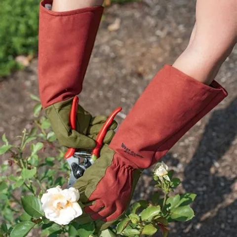 Rose Gloves for Pruning and Gardening (gardeners.com)