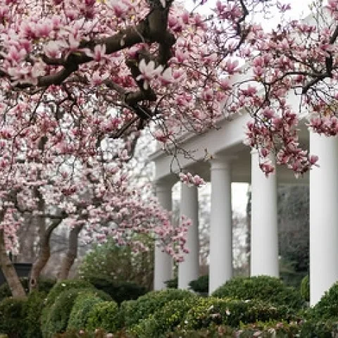 "ose Garden of the White House by The White House is marked with Public Domain Mark 1.0.