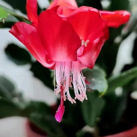 photos by Al Alvarado