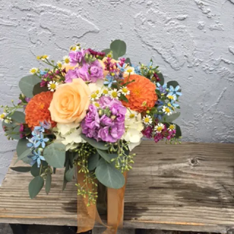 photos by Heather Hamilton