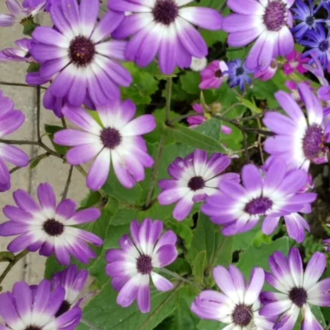 photos by Launa Herrmann