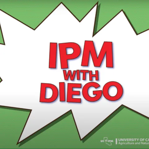 IPM with Diego graphic.