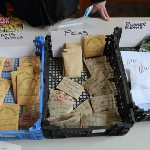 Seed packet in baskets