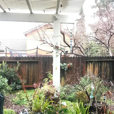 photos by Karen Metz