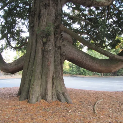 photo by Lanie Keystone