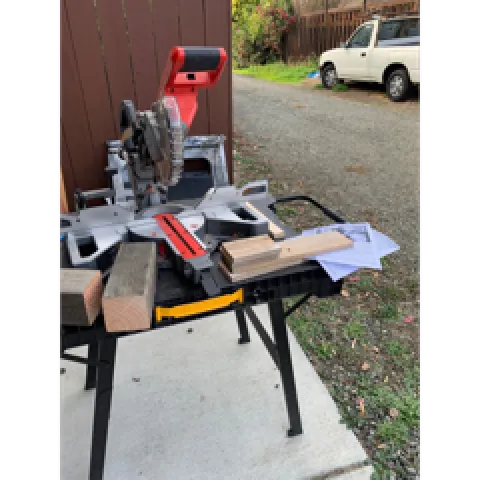 photos by Sheila Clyatt