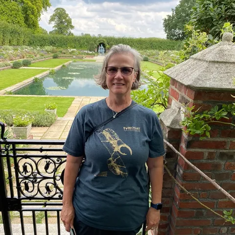 Professor Fran Keller of Folsom Lake College and a Bohart Museum of Entomology scientist, is shown here wearing her Bohart Museum rhinoceros beetle shirt at Kensington Palace. Keller taught science to community college students in London during the fall semester. She designed this beetle, which is available in the Bohart Museum gift shop.