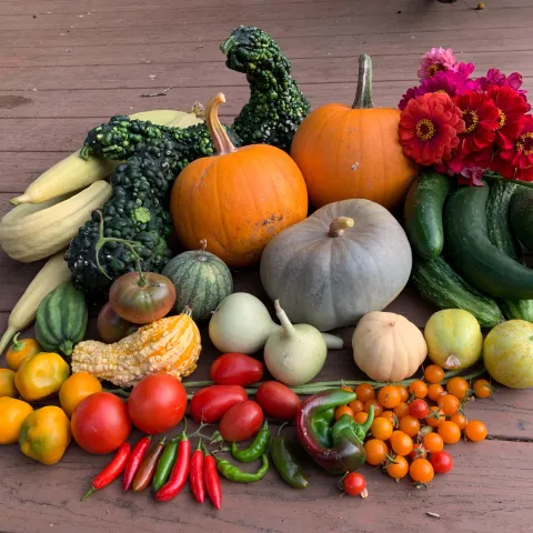 Summer Vegetables, Laura Westley