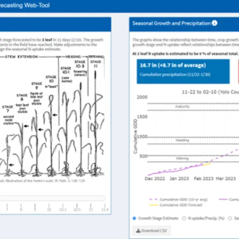 Growth Stage Estimate