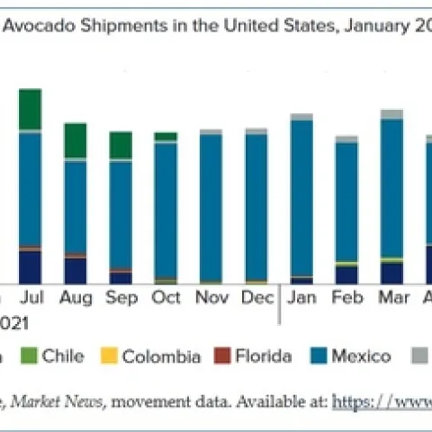 Avo shoipments to US