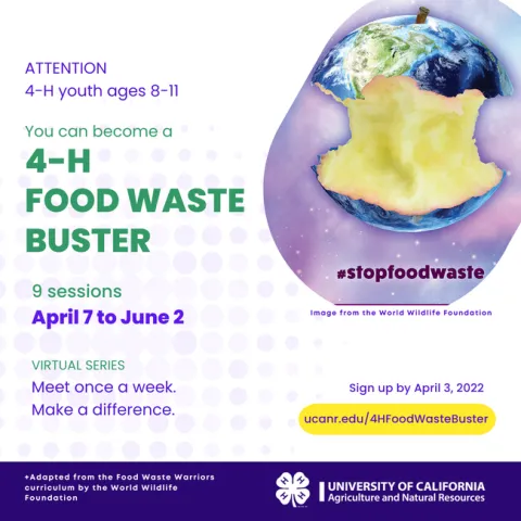 4-H food busters project flyer. The text says "Attention 4-H Youth, ages 8-11: You can become a 4-H Food Waste Buster." and has additional information on how to sign up.