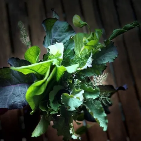 photos by Tina Saravia