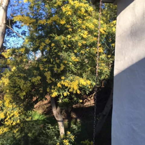 photos by Heather Hamilton