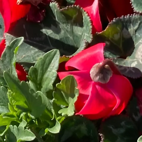 photos by Michelle Davis