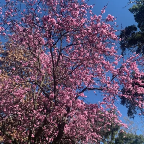 photo by Mike Gunther