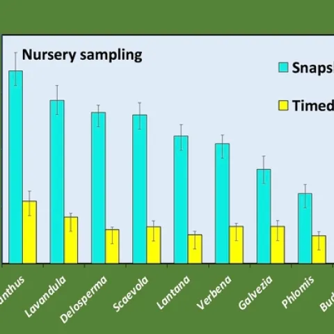 Graph of bee attractiveness at a nursery