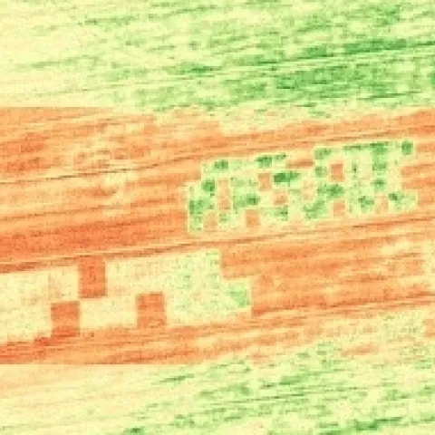 Digestate and Hydrolysate Field Trial NDVI