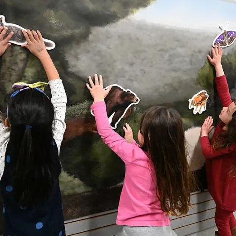 Three youngsters delight in moving wildlife around--a squirrel, a bear, a carpenter bee and a butterfly--at the Bohart Museum of Entomology during the 12th annual UC Davis Biodiversity Museum Day. (Photo by Kathy Keatley Garvey)