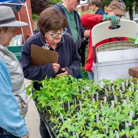 UC Master Gardeners Mary Jo Corby and Barbara Siegel check plants before a past GTPS while other CoCoMGs set up. Photo by Fletcher Oakes.