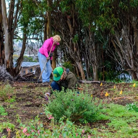 Liz Rottger and Liv Imset work in the Pollinator Garden at the Water Conservation Garden. Photo by Fletcher Oakes.