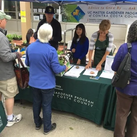 CoCoMGs Greg Doyle, Terri Takusagawa and Martha Lee assist members of the public with their questions at an AAMG table. Photo by UC Master Gardners.