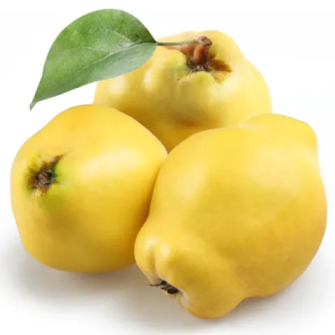 Three yellow quince fruits