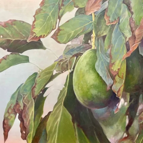 avocado fruit art