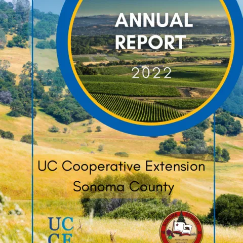 Annual Report 2022