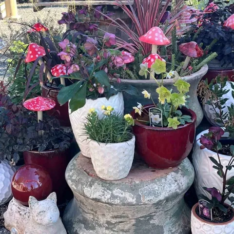 Statuary and containers at Magnolia Gift and Garden in Chico. Debi Durham