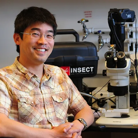 Professor Louie Yang in his Briggs Hall office, UC Davis Department of Entomology and Nematology. (Photo by Kathy Keatley Garvey)
